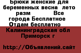 Брюки женские для беременных весна, лето (разм.50 XL). - Все города Бесплатное » Отдам бесплатно   . Калининградская обл.,Приморск г.